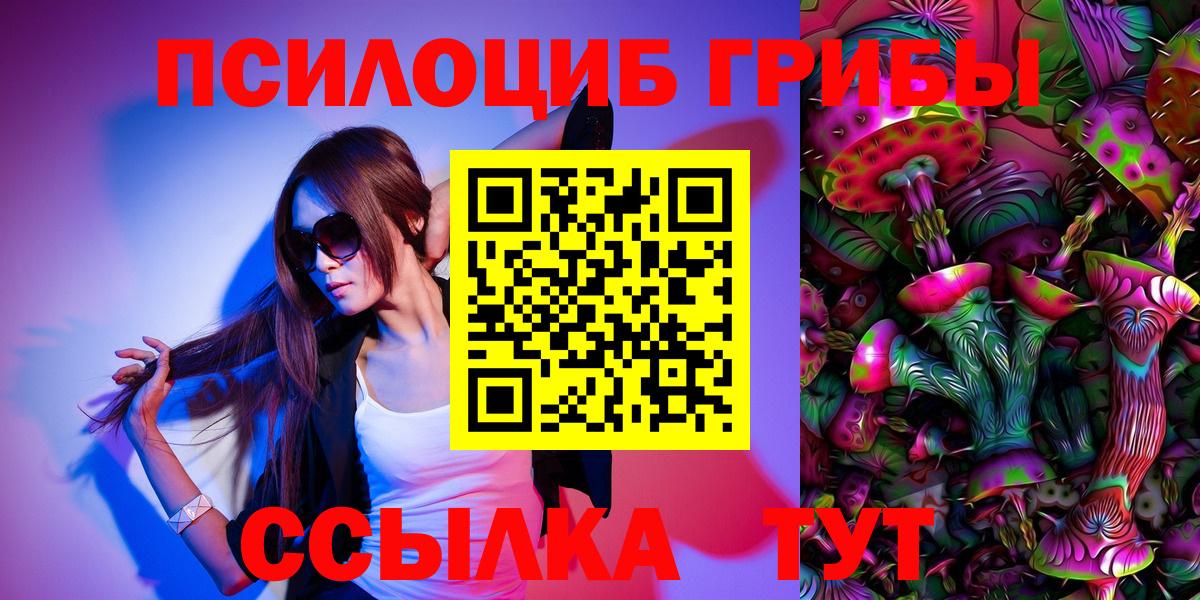Псилоцибиновые грибы мицелий Сочи