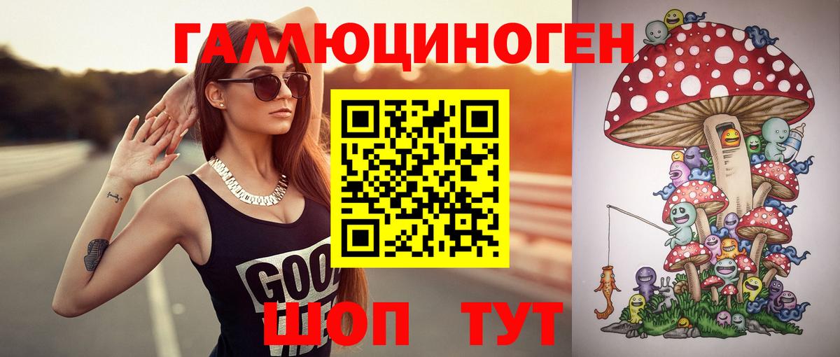Сочи  Галлюциногенные грибы прущие грибы  Вход с VPN 